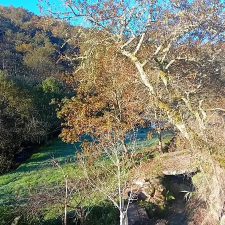 Casa Do Moinho Da Insua 샬레 Varzea Cova